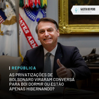 As privatizações de Bolsonaro viraram conversa para boi dormir ou estão hibernando? Achamos a reposta!