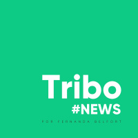 News #2 - O Piloto )