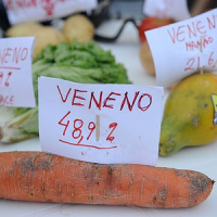 Consumo de agrotóxicos no Brasil não para de crescer