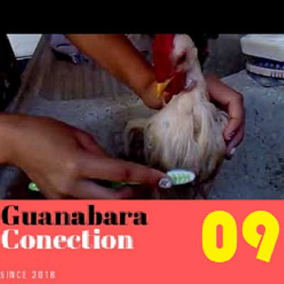 Guanabara Conection