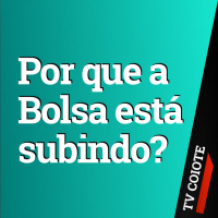 POR QUE A BOLSA ESTÁ SUBINDO NA CRISE?