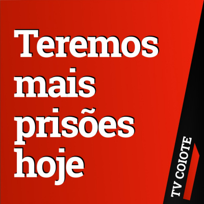 Tv Coiote