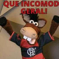 Bom ,regular,ruim, a cor da ternura