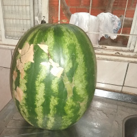 Trailer da2 temporada do podscast