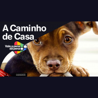 Vale a Pena ou Dá Pena 1001 - A Caminho de Casa | Resenha SEM Spoilers