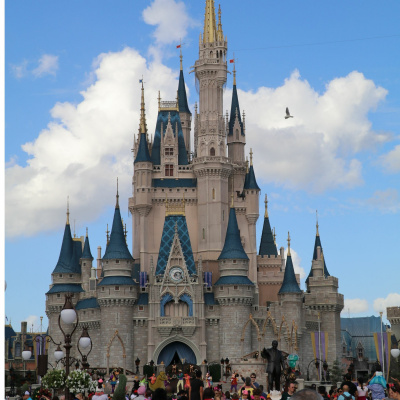 Paixão por Vendas Show