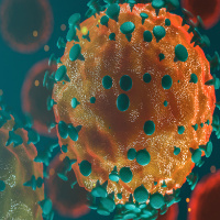 Coronavírus em debate