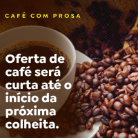 Oferta de café será curta até o início da próxima colheita