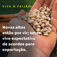 Feijão: novas altas estão por vir setor vive expectativa de acordos para exportação