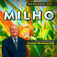 Milho do Brasil pode ter perdas expressivas na primeira safra 