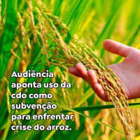 Audiência aponta uso da cdo como subvenção para enfrentar crise do arroz.