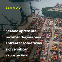 Senado apresenta recomendações para enfrentar sobretaxas e diversificar exportações