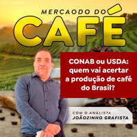 CONAB ou USDA: quem vai acertar a produção de café do Brasil?