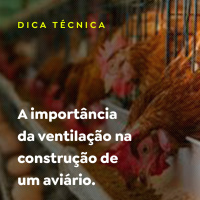 A importância da ventilação na construção de um aviário