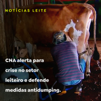 CNA alerta para crise no setor leiteiro e defende medidas antidumping