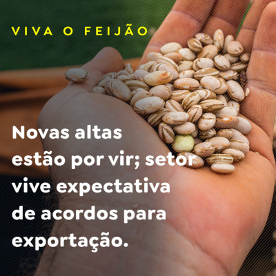 Paracatu Rural - Jornal do agronegócio