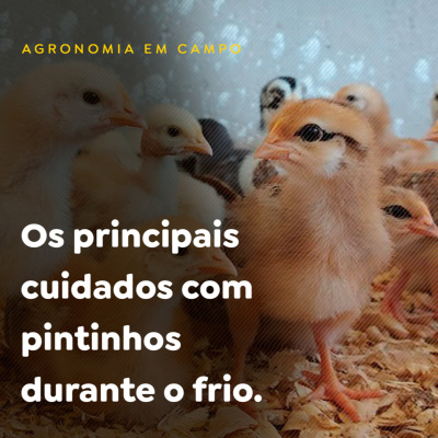 Paracatu Rural - Jornal do agronegócio