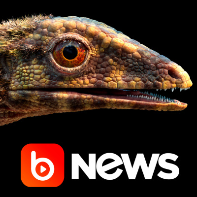 Diário de Notícias