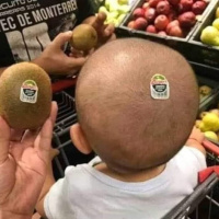 A intentona chinfrim - Episódio 66