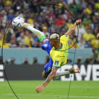 Brasil 2 X 0 Sérvia - Copa do Mundo TIB