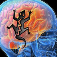 Café Brasil 450 – A revolta do Tico