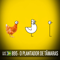 Café Brasil 895 - O plantador de tâmaras (Premium)