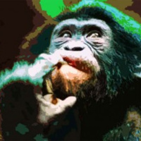 Café Brasil 269 – O benefício da dúvida