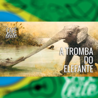 Café Com Leite Especial - A tromba do elefante