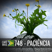 Café Brasil 748 - Paciencia