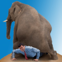 Café Brasil 475 – Estadão ou estadinho