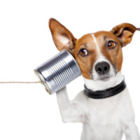 166 – Ouvinte Ativo