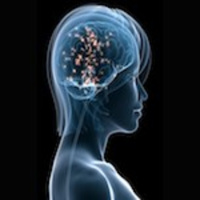 235 – Iscas Intelectuais