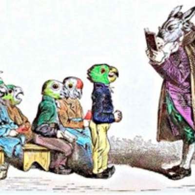 Café Brasil Podcast