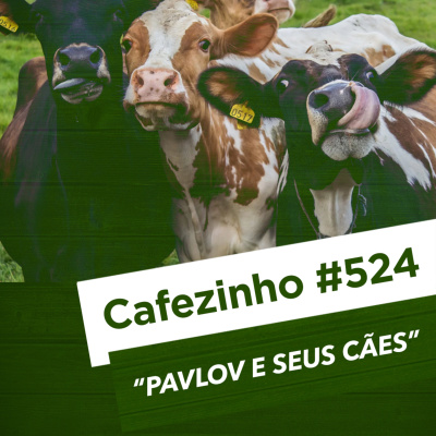 Café Brasil Podcast