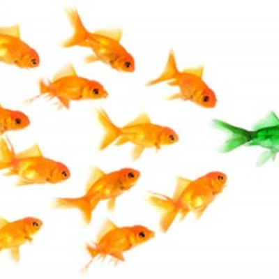 Café Brasil Podcast