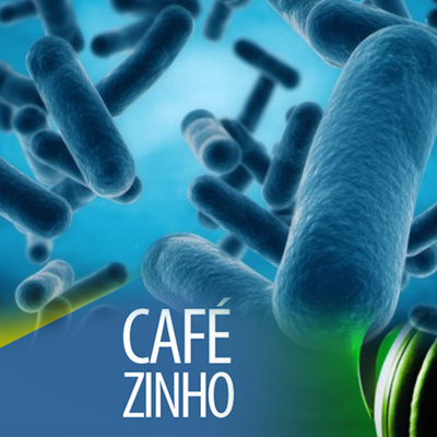 Café Brasil Podcast