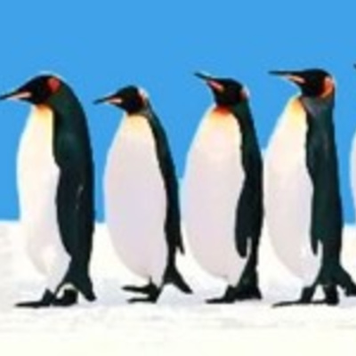 Café Brasil Podcast