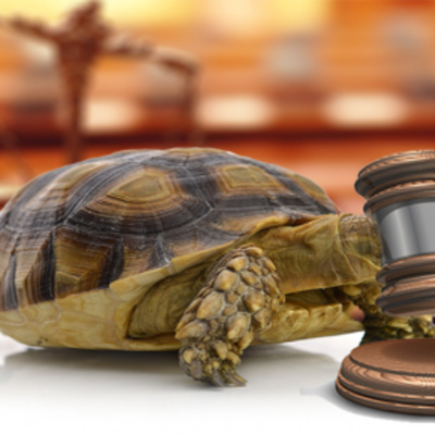 Café Brasil Podcast