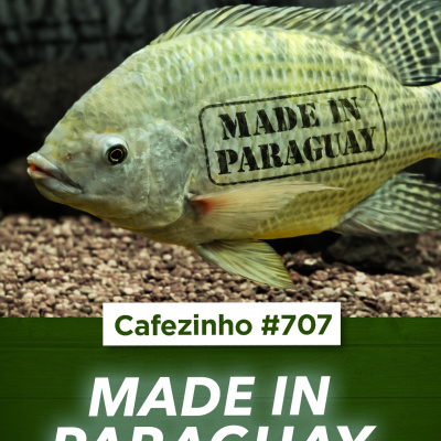 Café Brasil Podcast