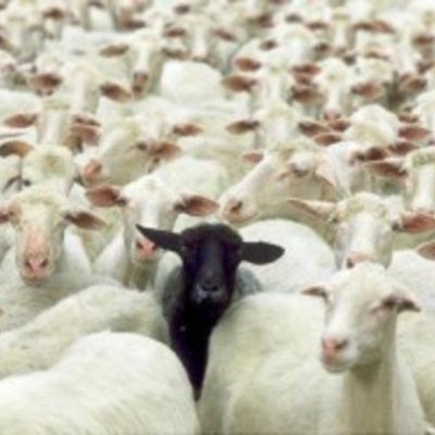 Café Brasil Podcast