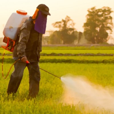 Café Brasil Podcast