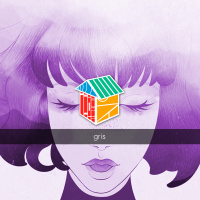 Iradex Home Office: Gris