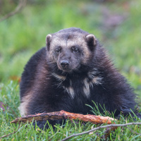 Primeiros Segundos #8 - Lembranças