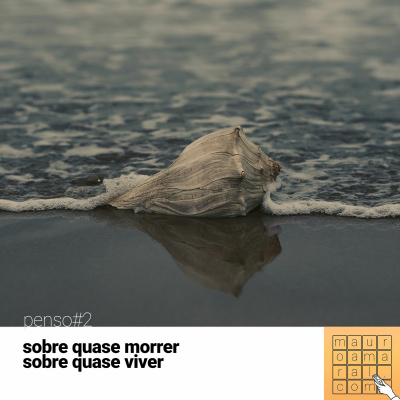 Falafreela - Carreirasolo.org