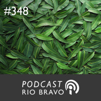 Podcast 348 – Guilherme Cavalcanti – Fibria: da recuperação financeira à liderança de mercado
