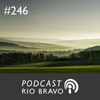 Podcast 246 - Pedro Henrique Mariani, do Banco BBM: Os bancos depois da crise