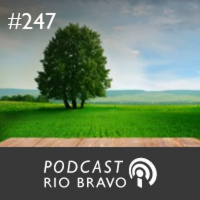 Podcast 247 - João Dionisio Amoedo, do Partido Novo: O cidadão ganha quando o Estado encolhe