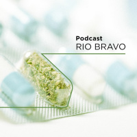 Podcast 555 – José Barcellos – A estratégia da Verdemed e o negócio da cannabis medicinal
