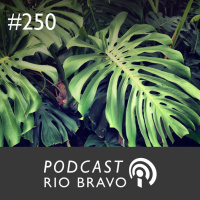 Podcast 250 - Claudio Porto: Propostas para o Governo 2015-2018