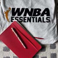 Diary of a WNBA negotiator
